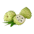 میوه تازه