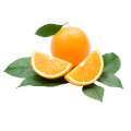 غذای دریایی تازه