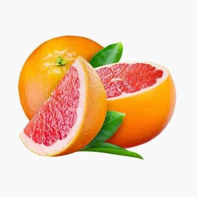 لیموناد سیمپلی با آب تمشک